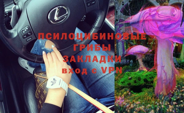 прущая мука Кодинск